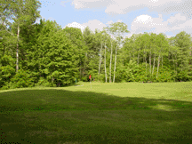 Enlarge Picture