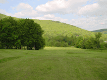 Enlarge Picture